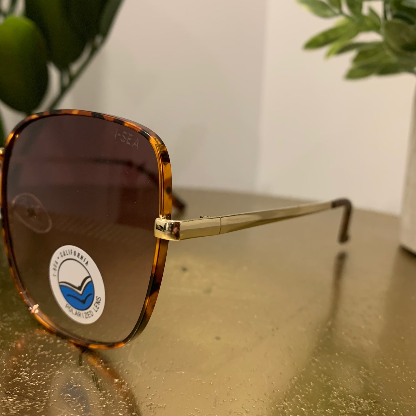 Montana Sunglasses
