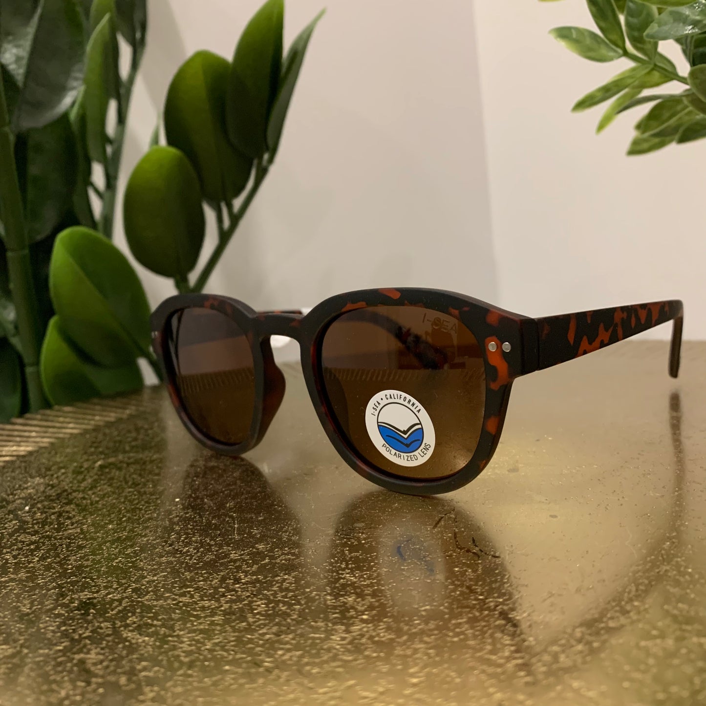 Barton Sunglasses