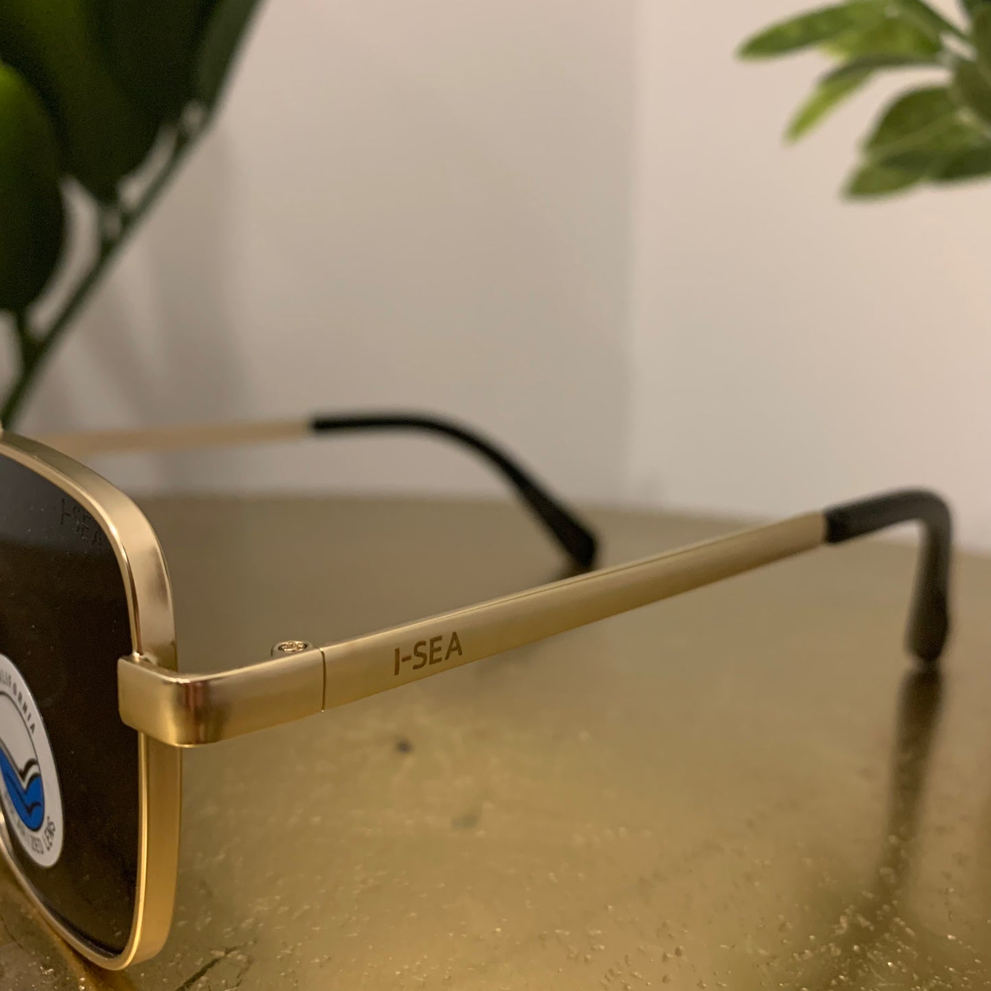 Brooks Sunglasses