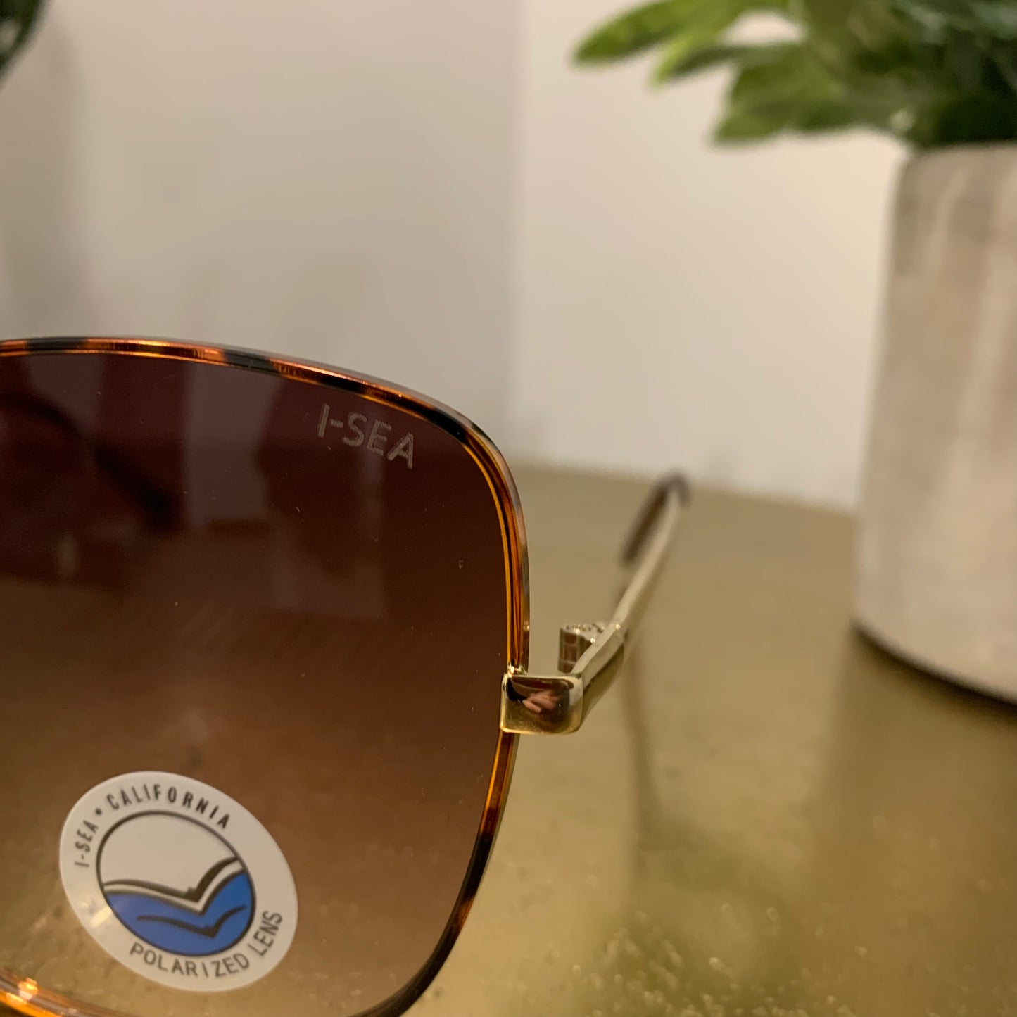 Montana Sunglasses