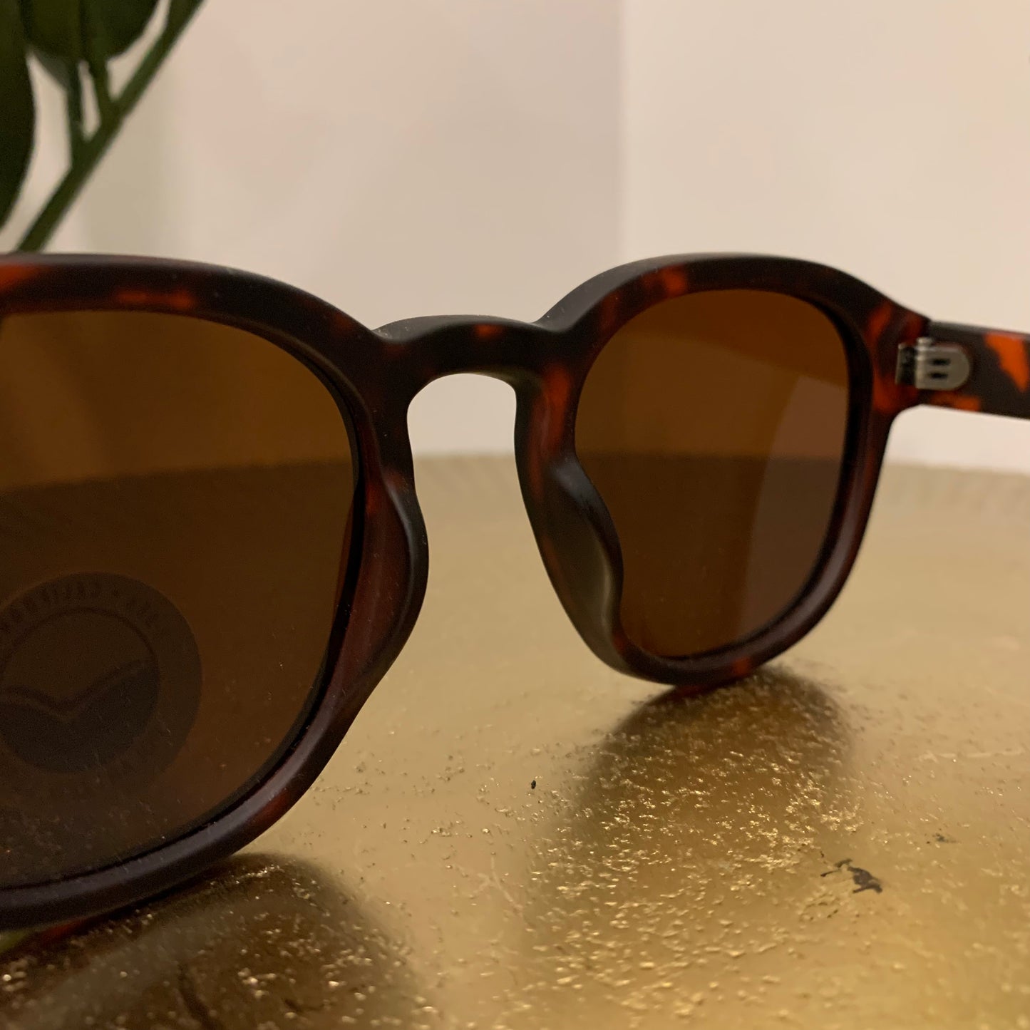 Barton Sunglasses