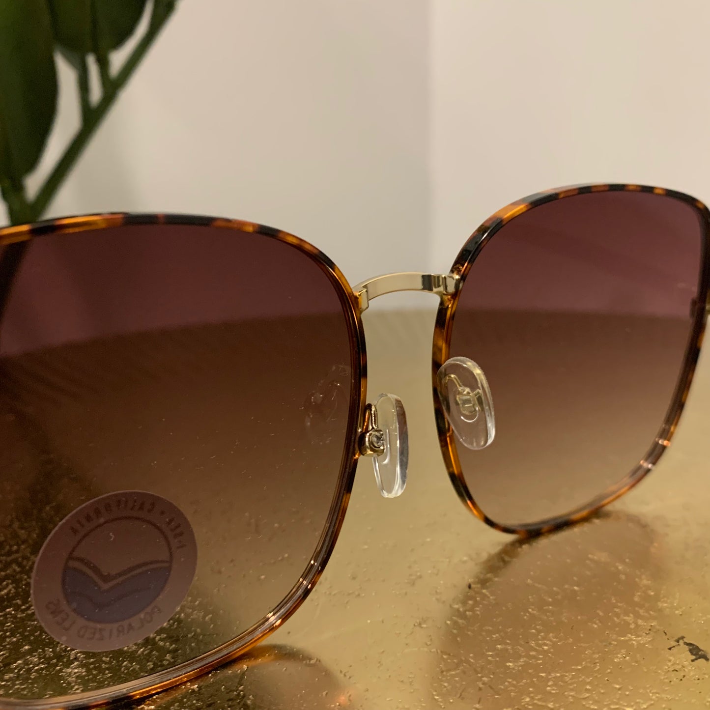 Montana Sunglasses