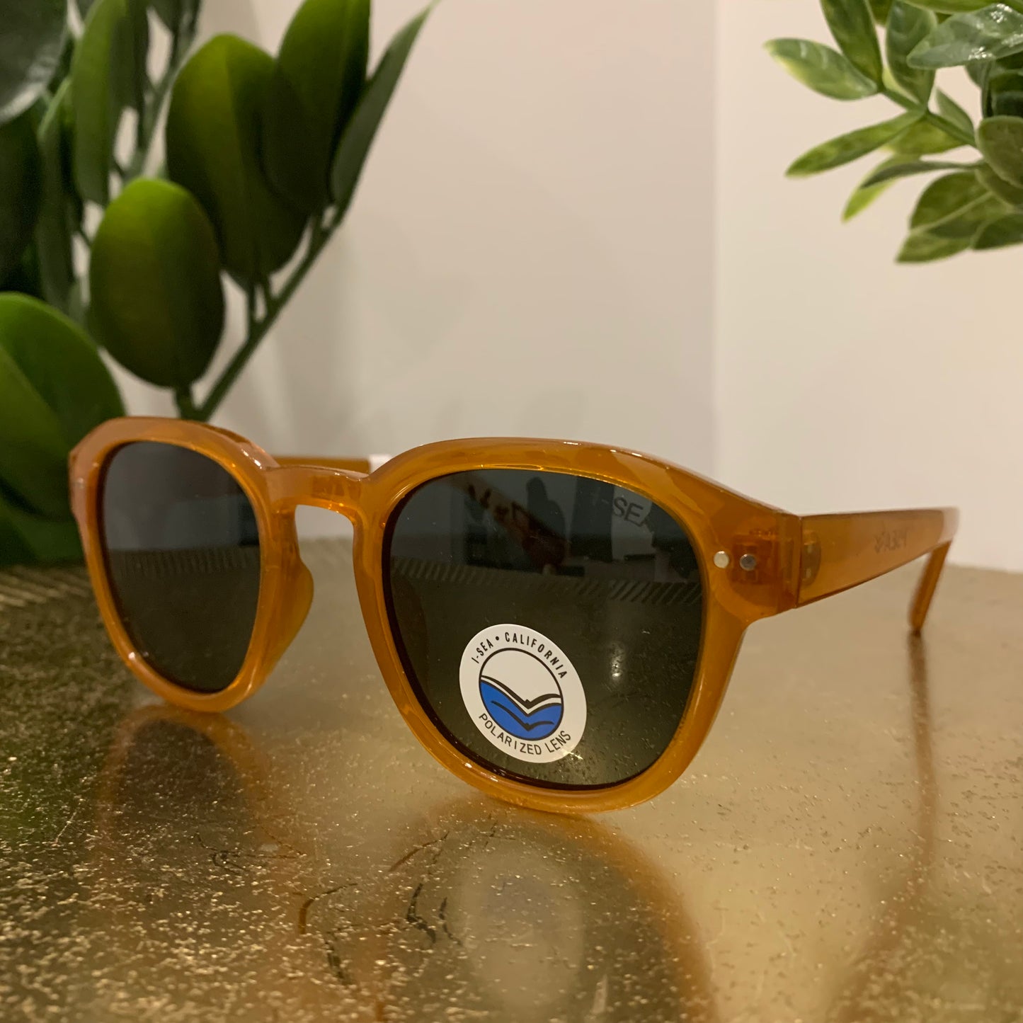 Barton Sunglasses