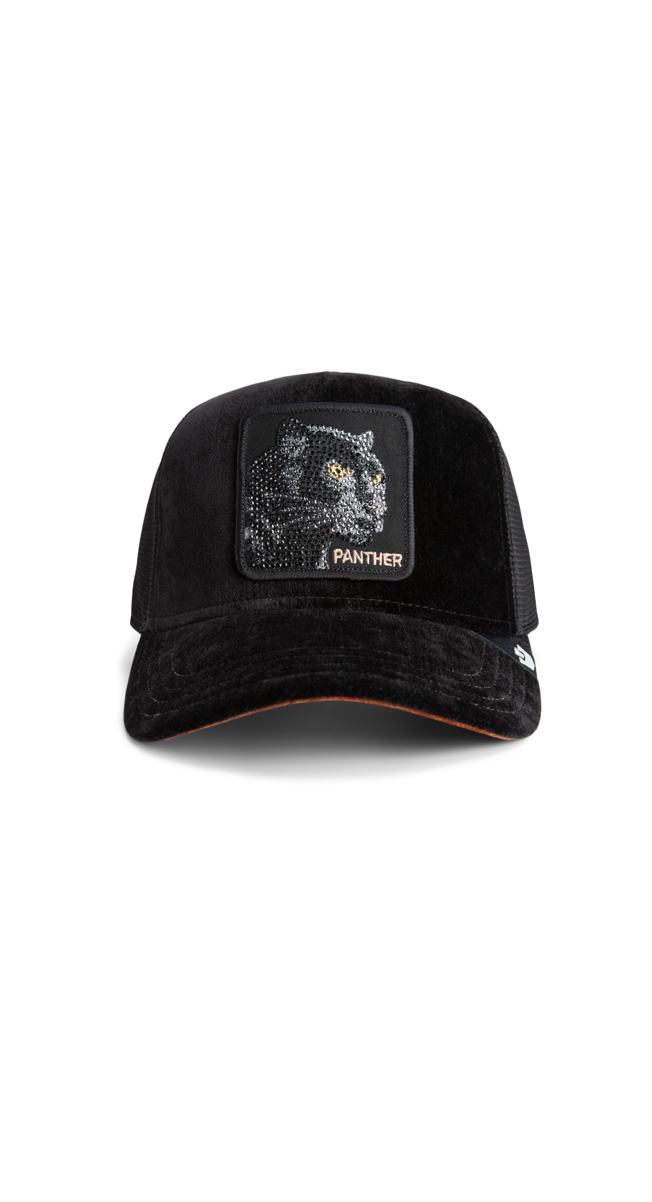 Iced Panther