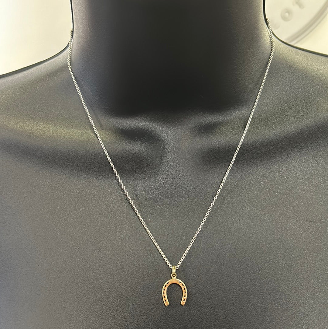 Horse Shoe Necklace