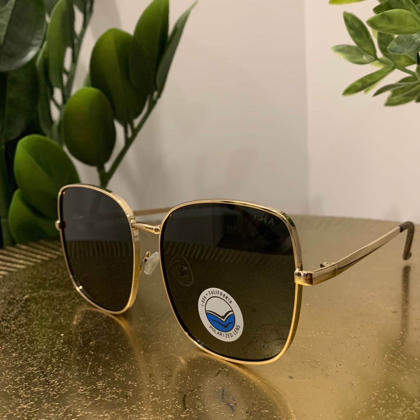 Montana Sunglasses