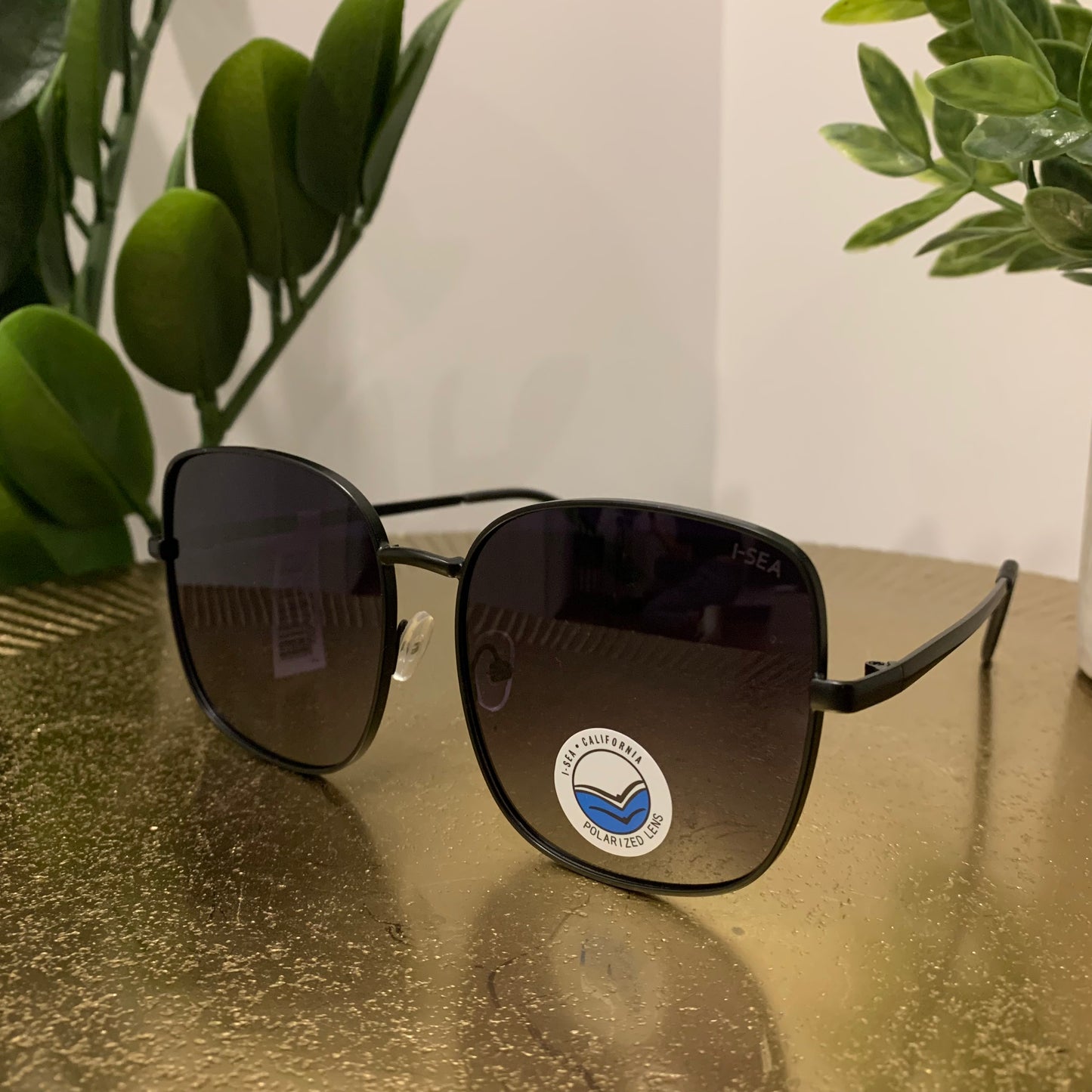Montana Sunglasses
