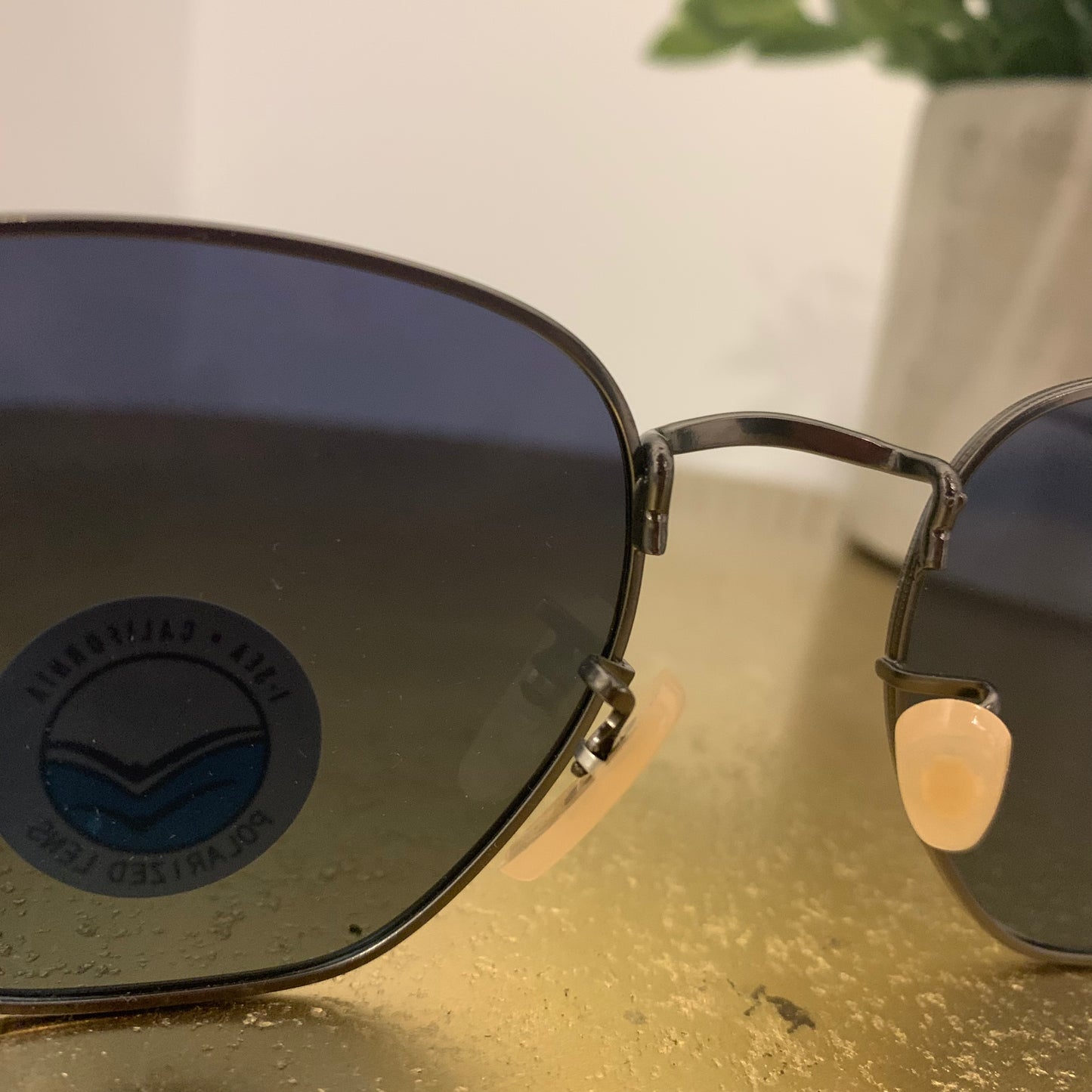 Penn Sunglasses