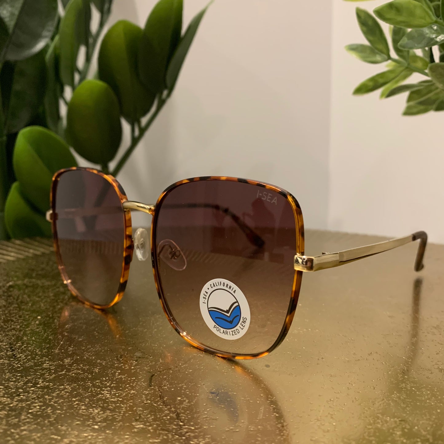 Montana Sunglasses