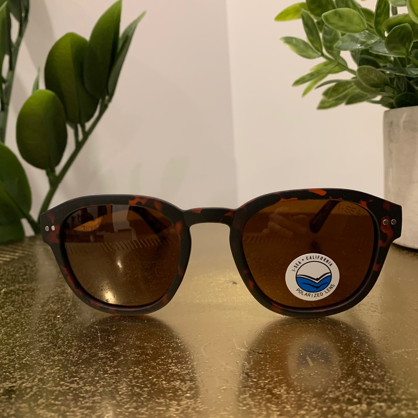 Barton Sunglasses