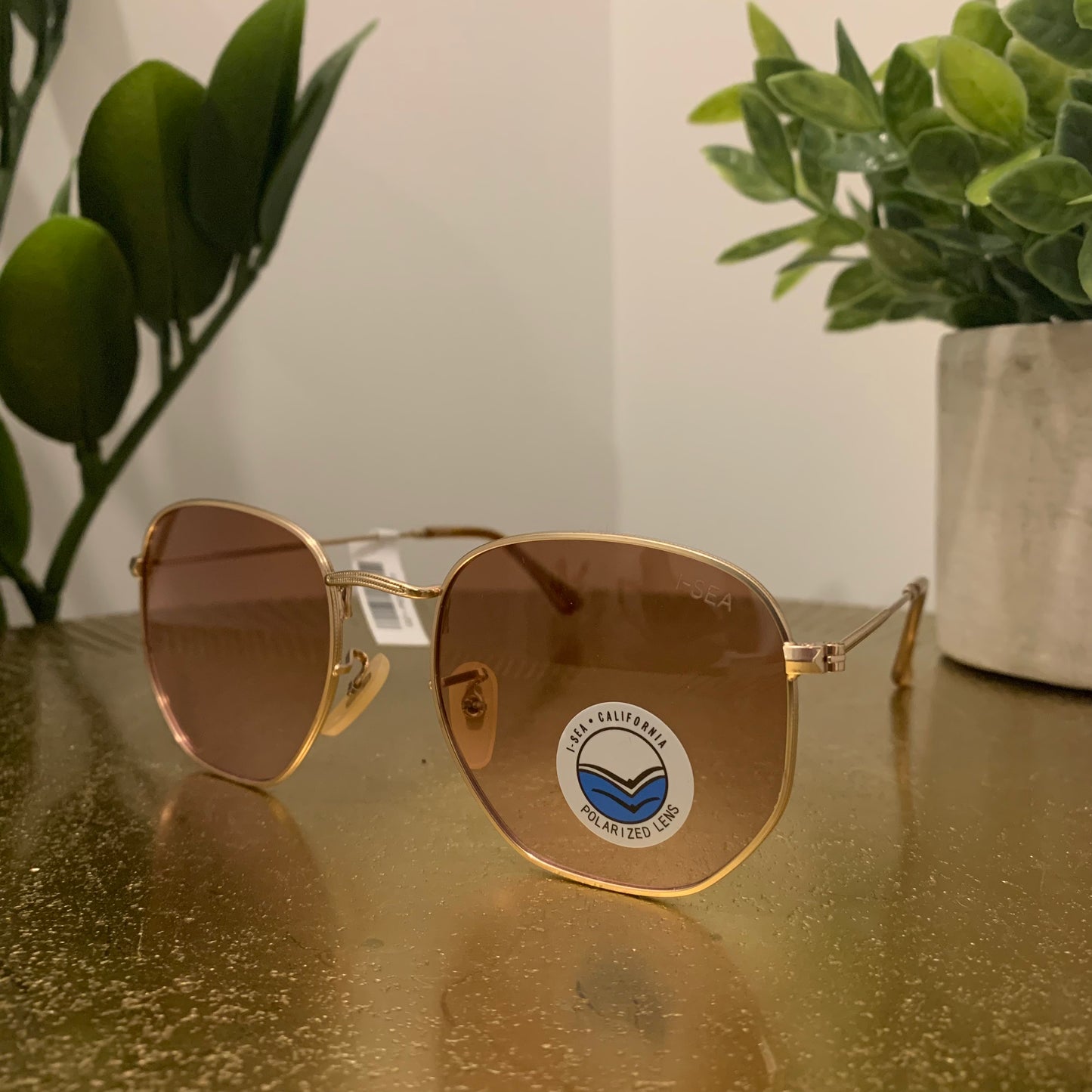 Penn Sunglasses