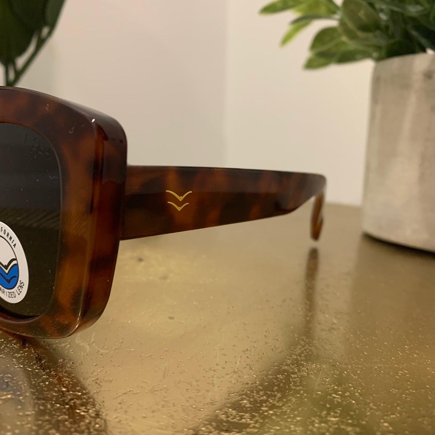 Paige Sunglasses