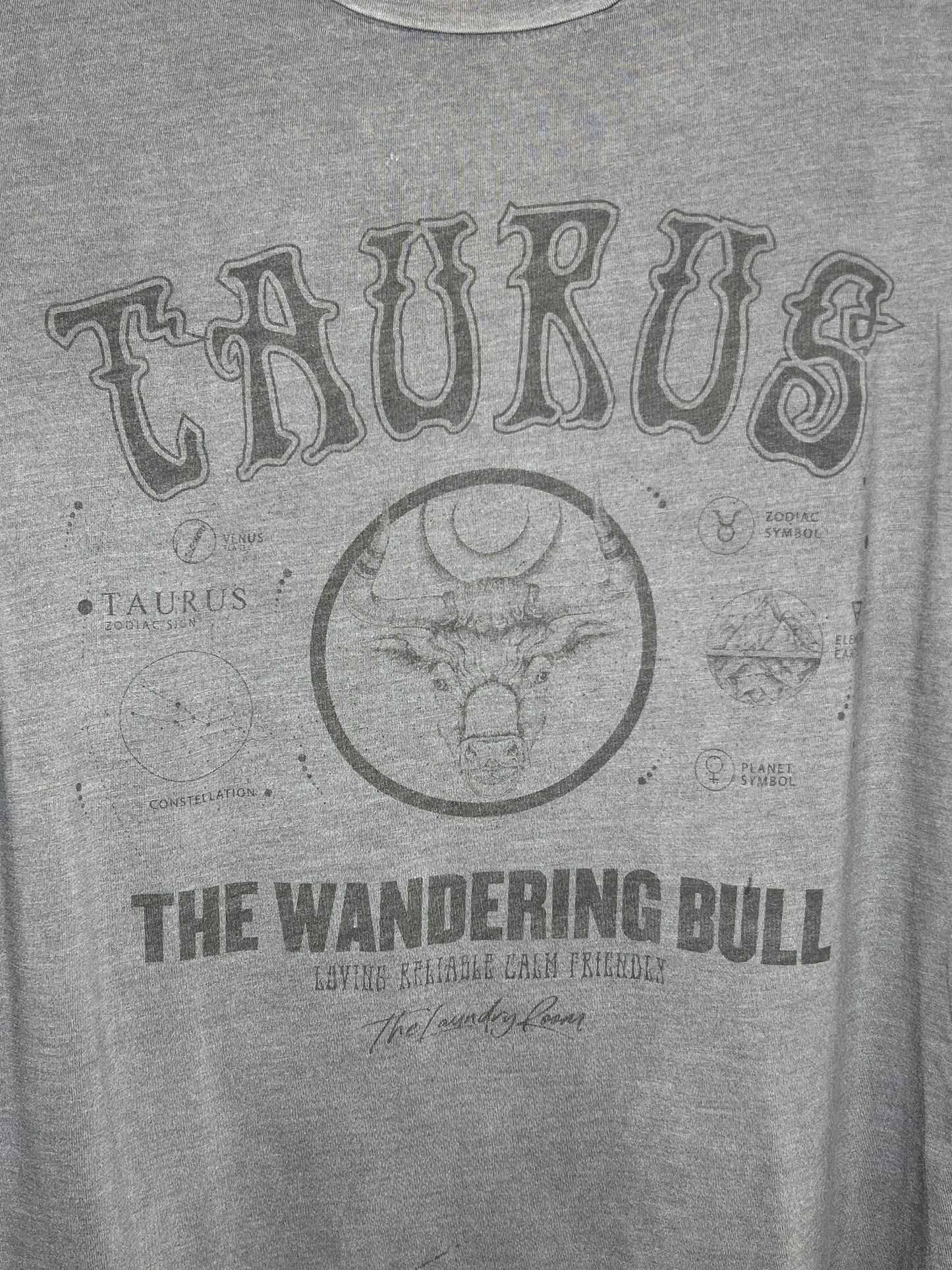 Zodiac Oversized Tee