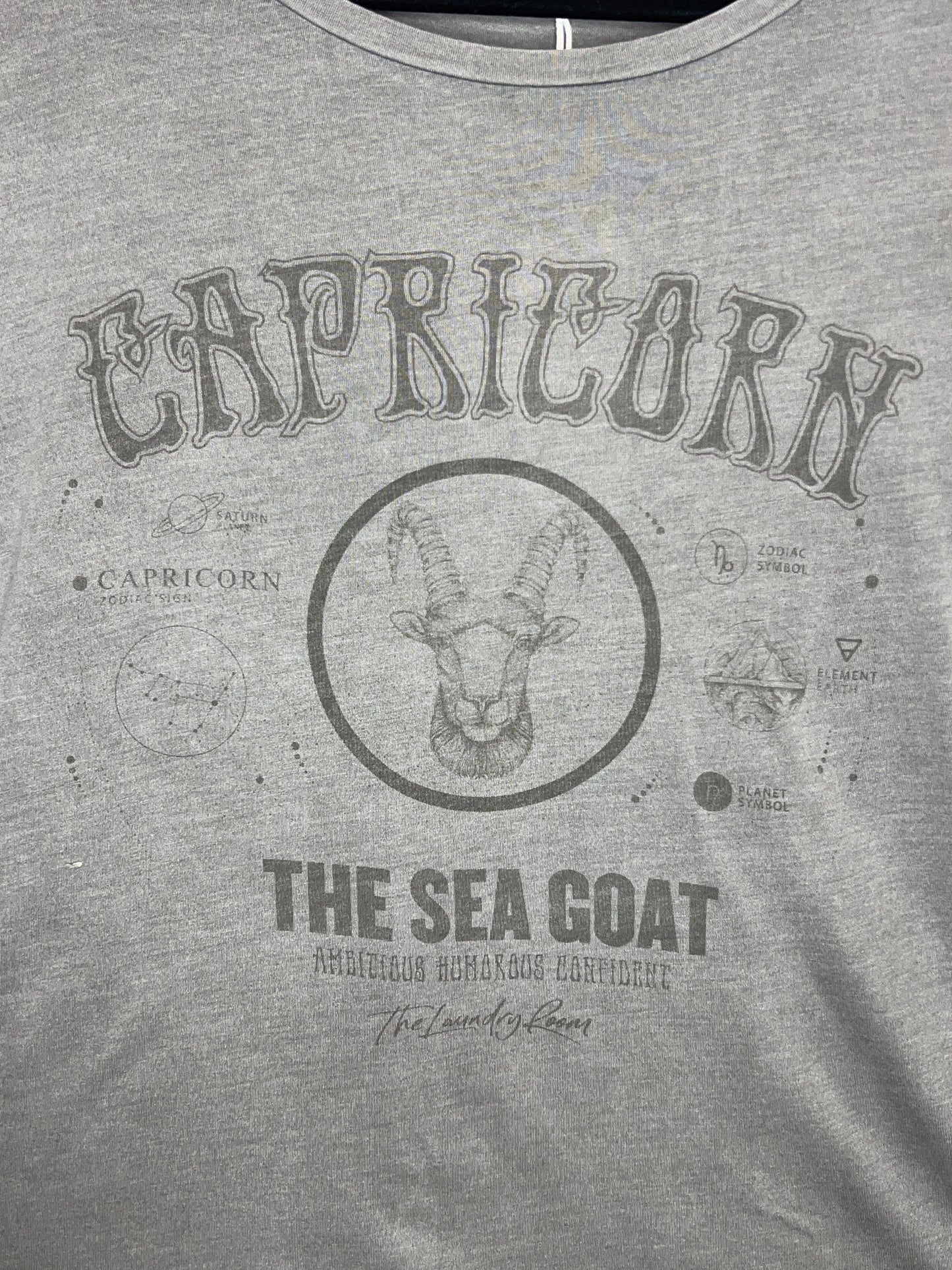 Zodiac Oversized Tee