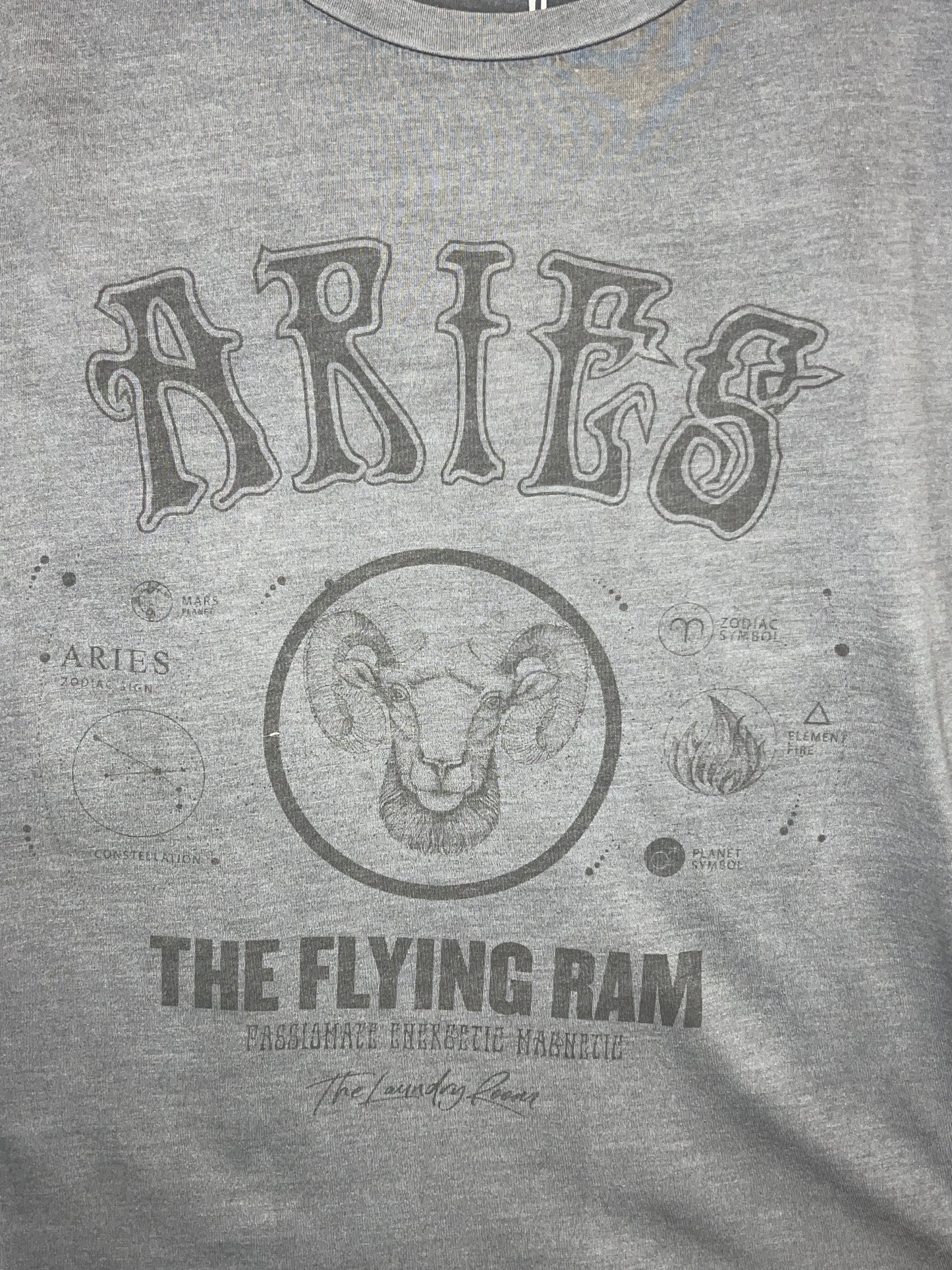 Zodiac Oversized Tee