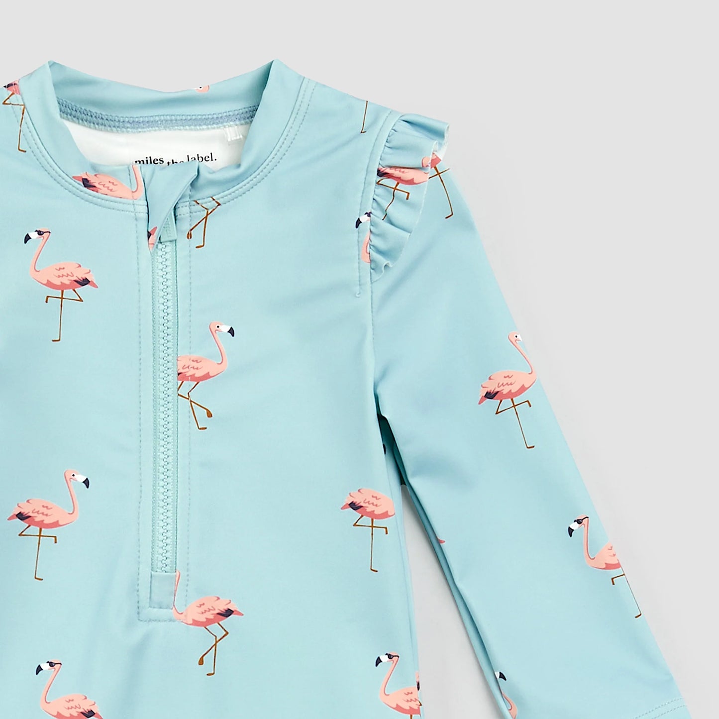 Flamingo One Piece Swimsuit