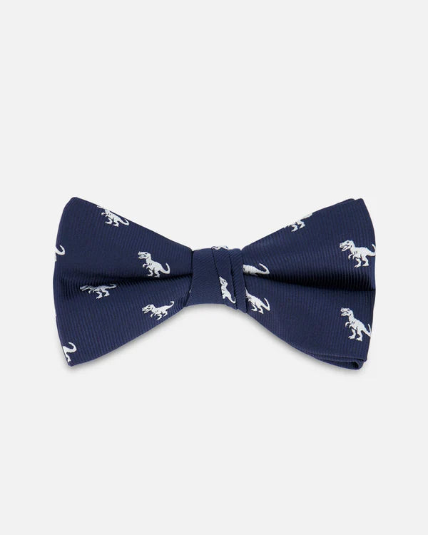 Kids Bow Tie