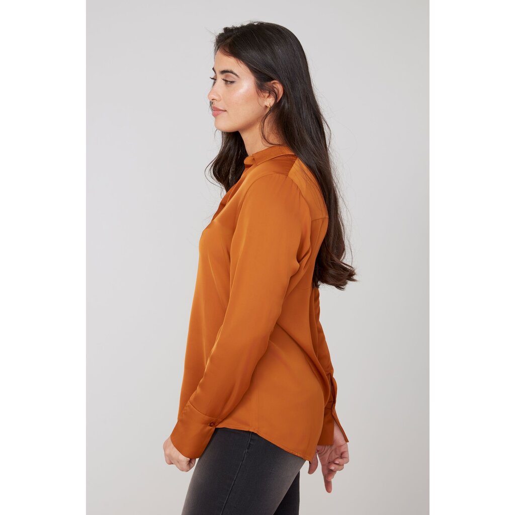 Bronze Blouse