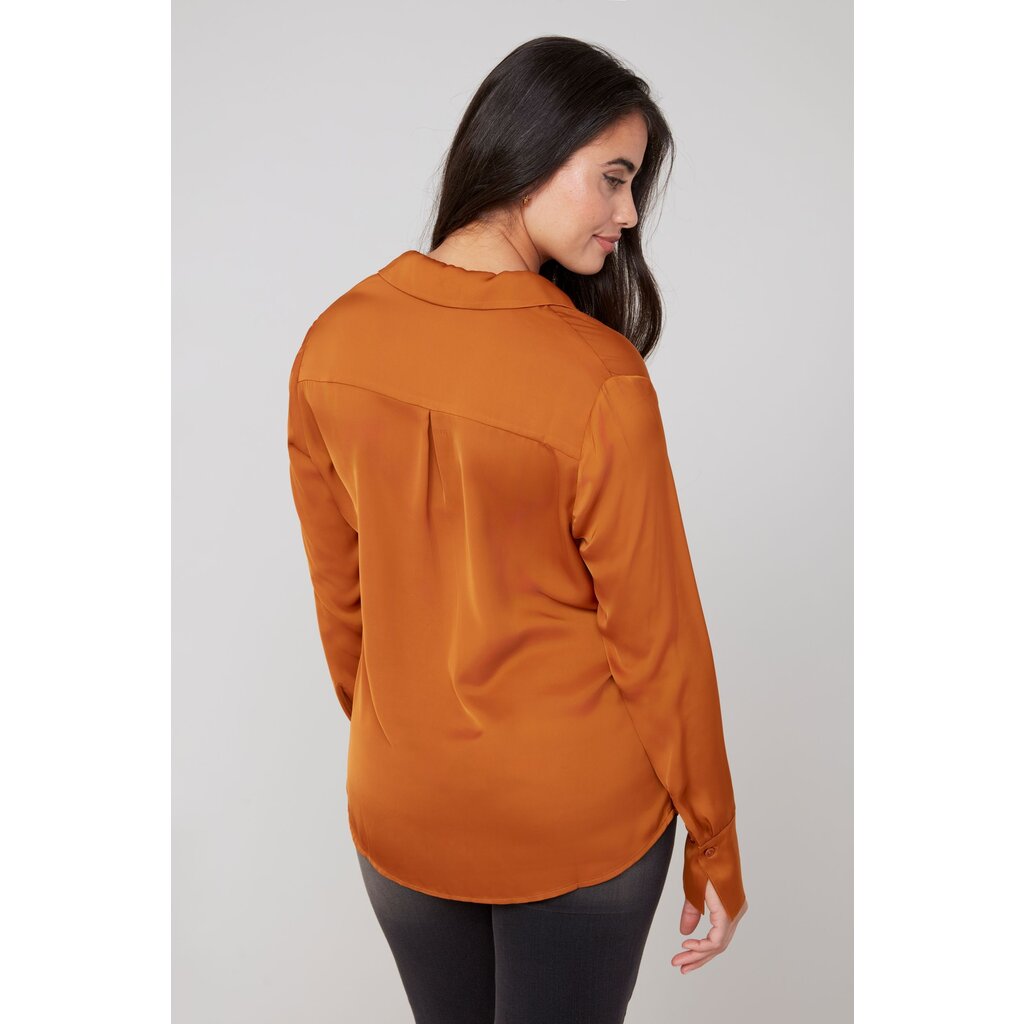 Bronze Blouse
