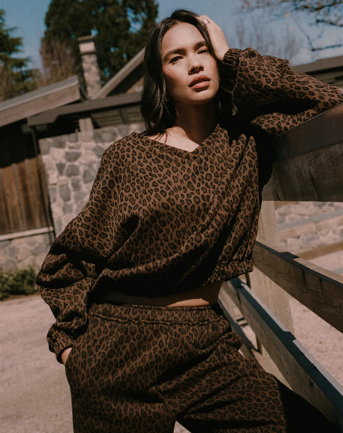 High V-Neck Leopard Sweater