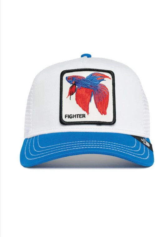 Fighter