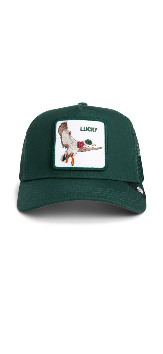 Lucky Duck