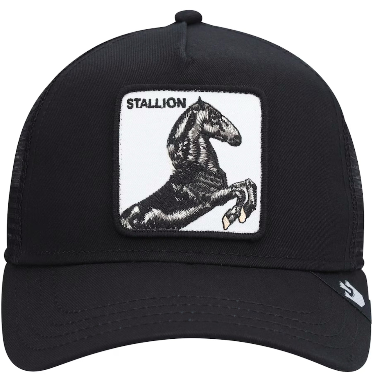 Stallion - Youth