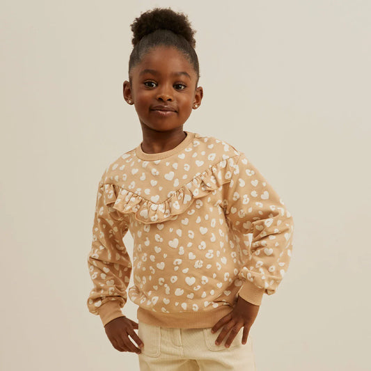 Cheetah print sweater