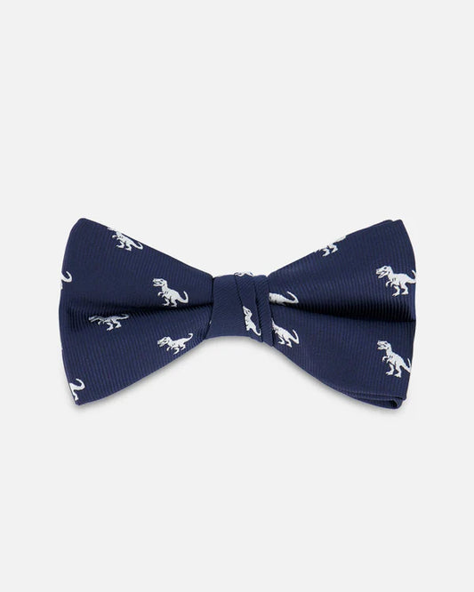 Kids Bow Tie