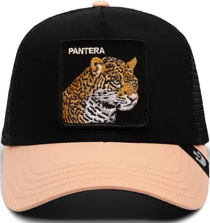 Pantera