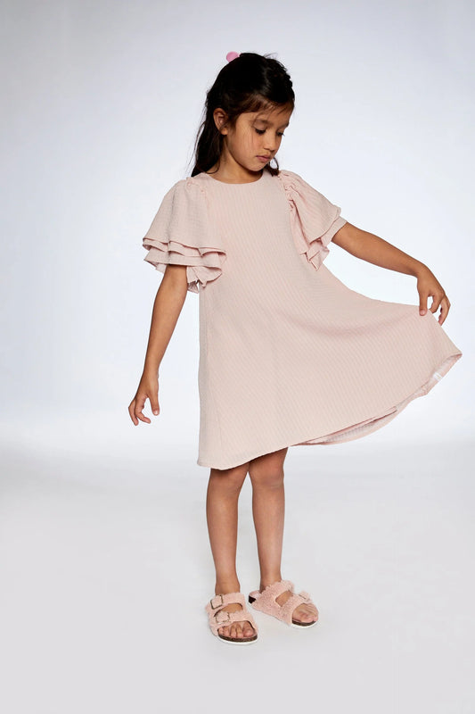 Frill Sleeve Dress