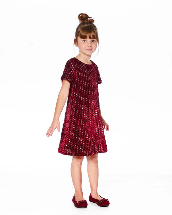 Velvet Short Sleeve Dress